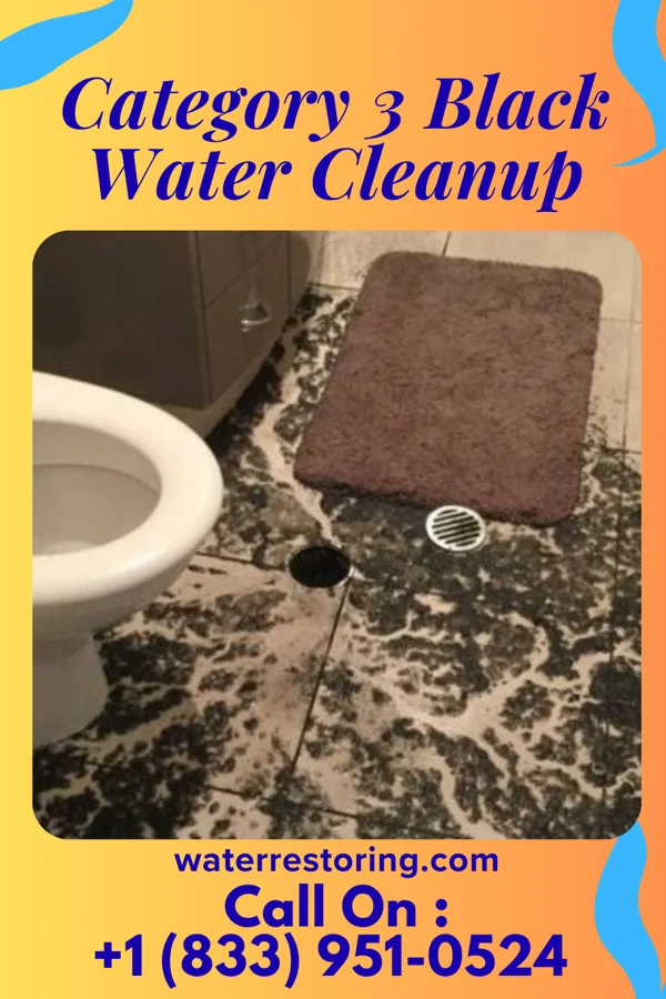 Category 3 Black Water Cleanup in Brookville, KS