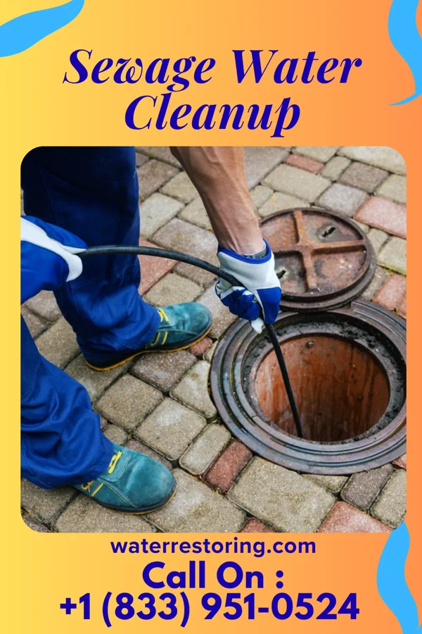 Sewage Water Cleanup in Brookville, KS