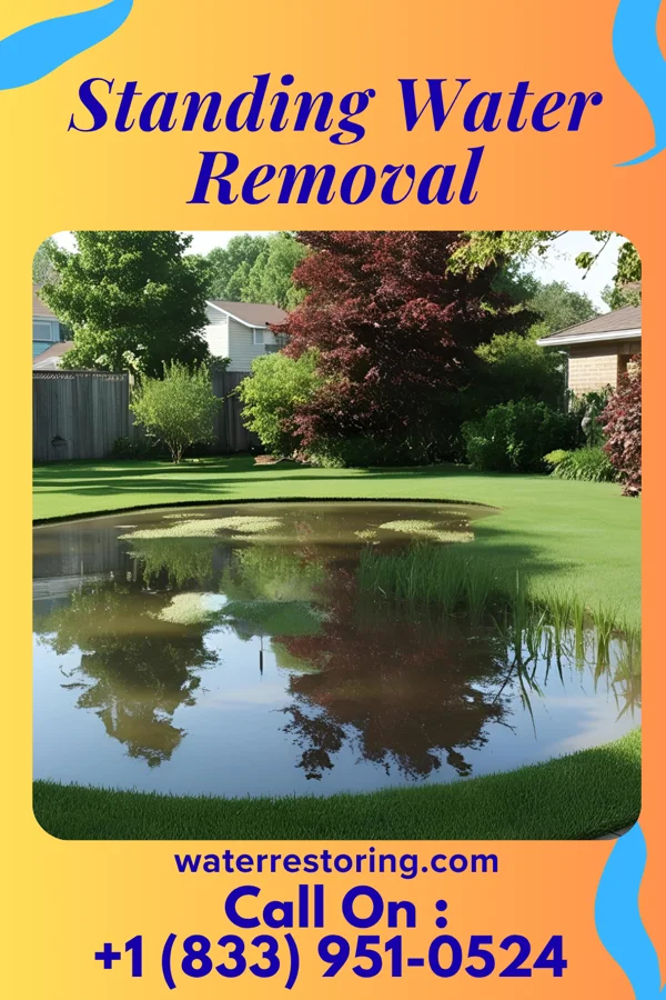 Standing Water Removal in Brookville, KS